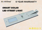 Cina Motion Sensor Light Bulat Solar Street Garden Light Sun Sistem Pencahayaan Matahari eksportir