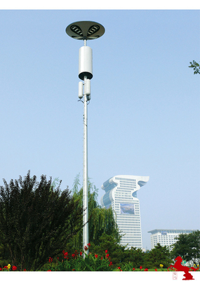 8m -13m Customized Telecommunications Towers In Residential Areas